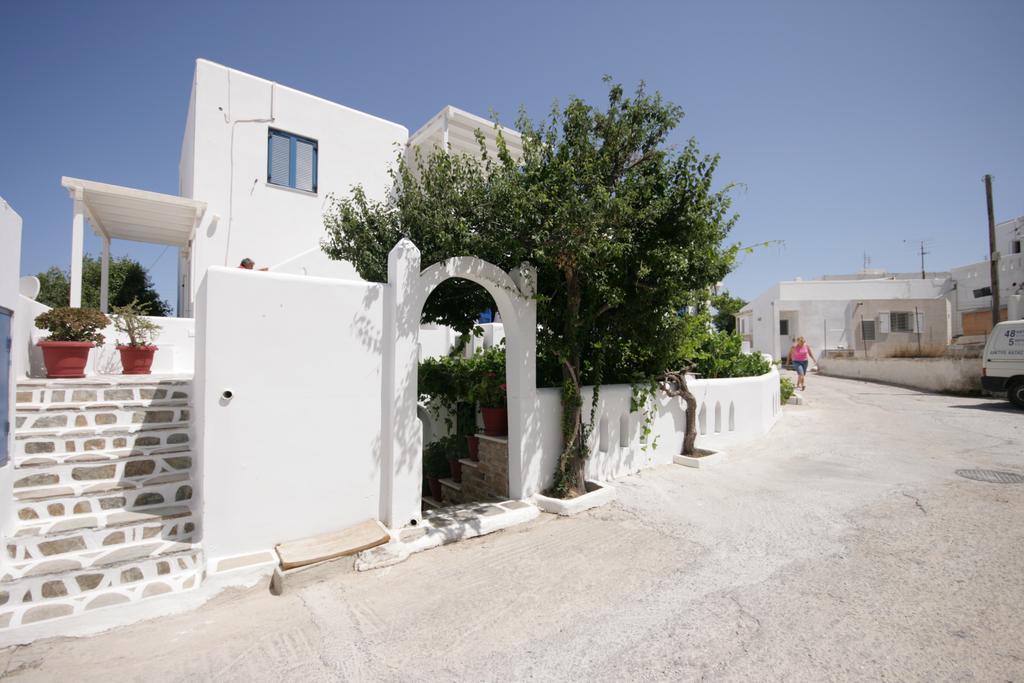 Jasmine Parikia (Paros)